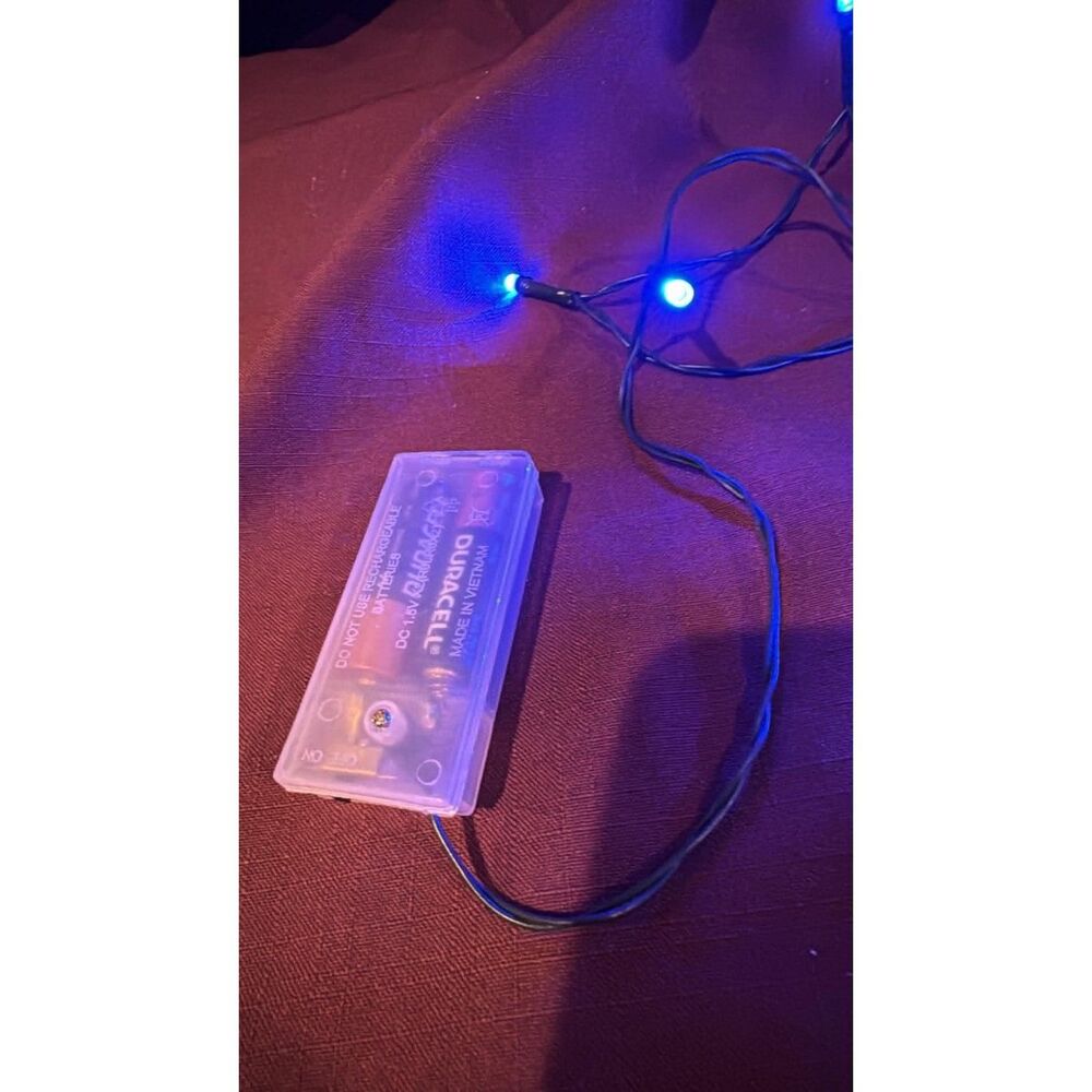 Blue Christmas Lights Battery Operated String Lights 20 Lights  4 Foot